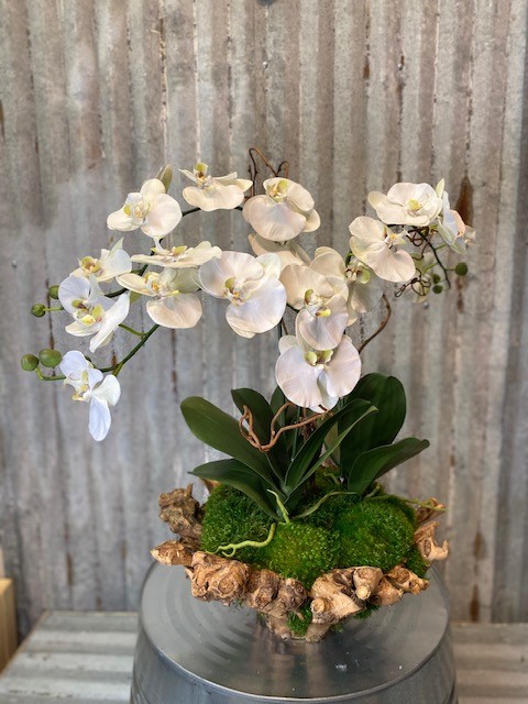 Large Orchid Branchy Bowl